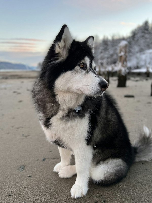 Styling Professional Jumpsuits?