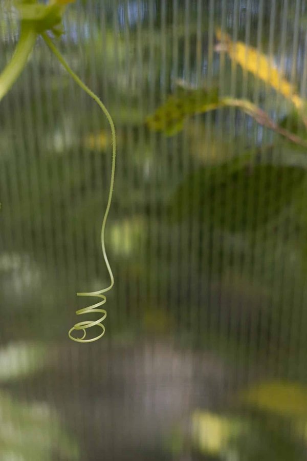 What Are the Innovative Approaches for Businesses to Adapt to Rapidly Changing Consumer Behaviors?